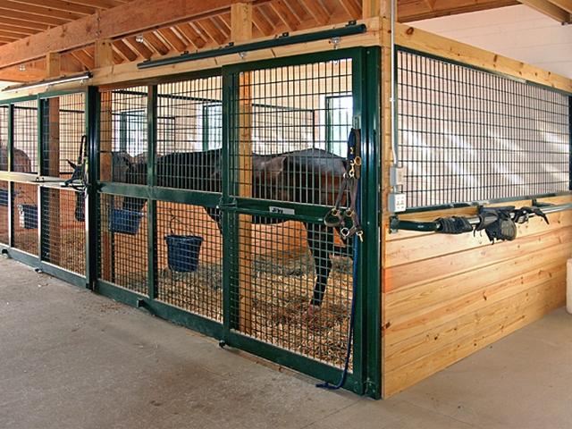 Содержание лошадей в конюшне в Купино | ЗооТом портал о животных